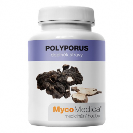 Polyporus extrakt z plodnice 90 kapsúl x 500mg MycoMedica (30% polysacharidov)