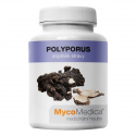 Polyporus extrakt 90kps x 500mg MycoMedica