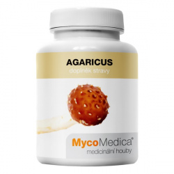Agaricus extrakt z plodnice 90 kapsúl x 500mg MycoMedica (30% polysacharidov)