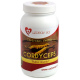 Cordyceps sinensis extrakt 100g prášok Uzdrav sa (30% polysacharidov)